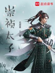 崇祯太子txt