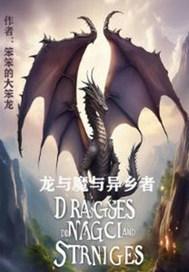 龙与魔女有后续吗