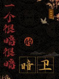一个很暗很暗的暗卫TXT全文