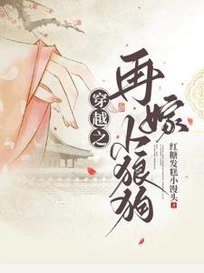 再嫁小夫郎宝书网