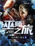 巫师之旅无错版