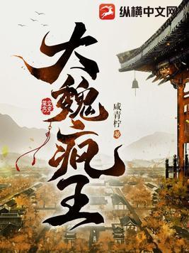 大魏疯王六皇子TXT