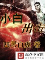 小白n1