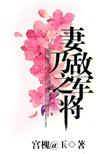 妻乃敌军之将byby宫槐知玉