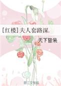 红楼夫人套路深免费阅读