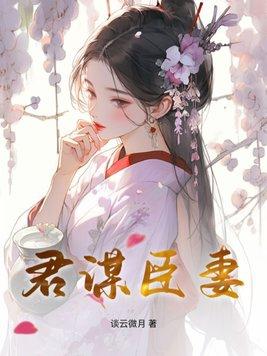 君夺臣妻推荐