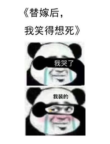 替嫁后我笑得想死讲的是什么