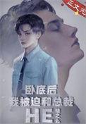 卧底后我意外把总裁掰弯了全文免费阅读