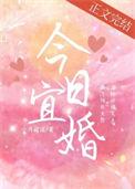 今日宜婚短剧免费