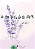 科举让我富贵荣华茶茶