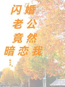 闪婚老公暗恋我txt