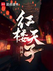 红楼之天命皇子免费阅读