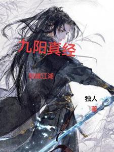冒险岛飞侠转刺客还是侠客
