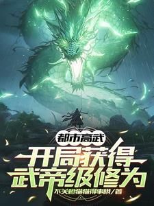 都市最强武帝境界有几个