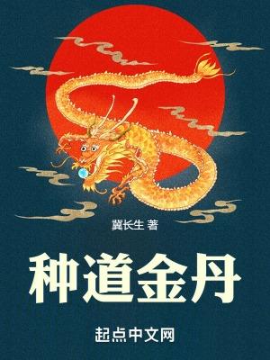 道家金丹道