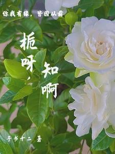 栀这个字念什么?