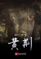 黄荆老林