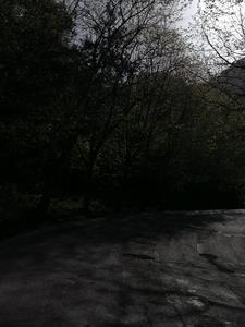 凝望仙路TXT
