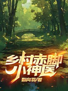 乡村小神医作者赤焰神歌