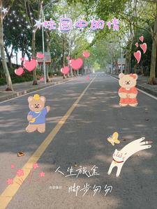校园中的情侣照片