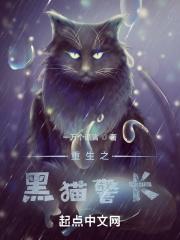 黑猫警长图片