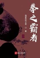拳之霸者免费观看