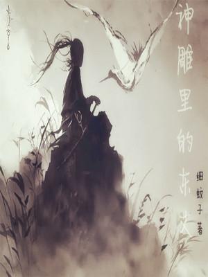 神雕里的东丈女主