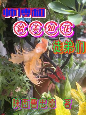 师傅和貌美如花徒弟们怎么相处