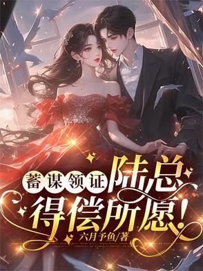 蓄谋已久陆先生请宠我
