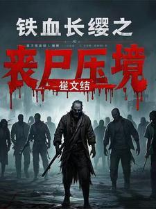 铁血长平电视剧