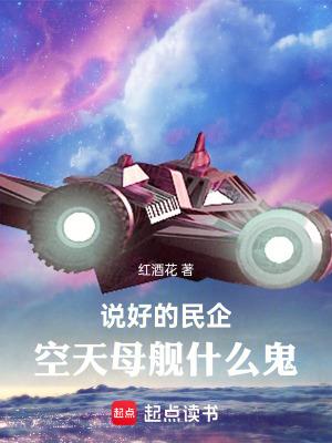 空天母舰什么鬼红酒花
