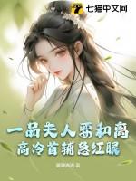 一品夫人相当于今天什么官职