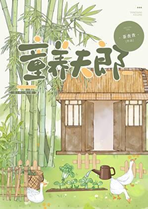 裴家夫郎TXT宝书网