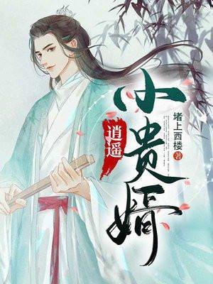 逍遥小贵婿皇上是什么身份