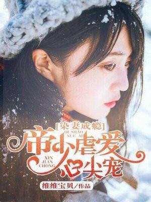 帝少追妻忙沐小染免费