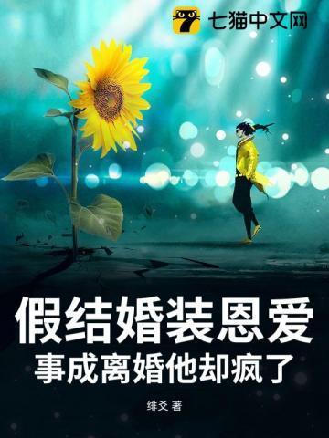 假结婚成真爱的