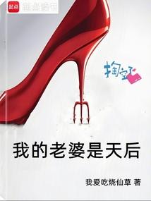 我的老婆是天后骆冰