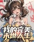 我的完美人生啊起点