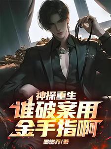 破案神探归来