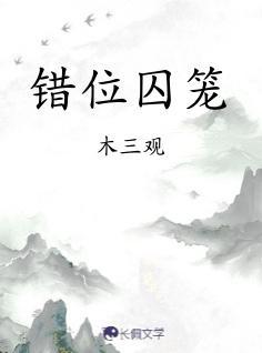 错位囚笼TXT