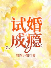 试婚成瘾总裁晚上好免费阅读