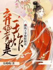 弃宠王妃全文阅读免费