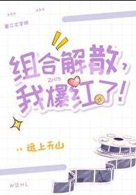 组合解散我爆红了by远上天山百度