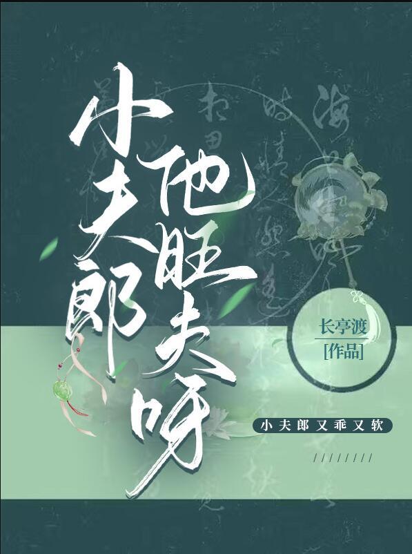 小夫郎他旺夫呀讲的什么