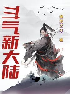 斗气大陆货币