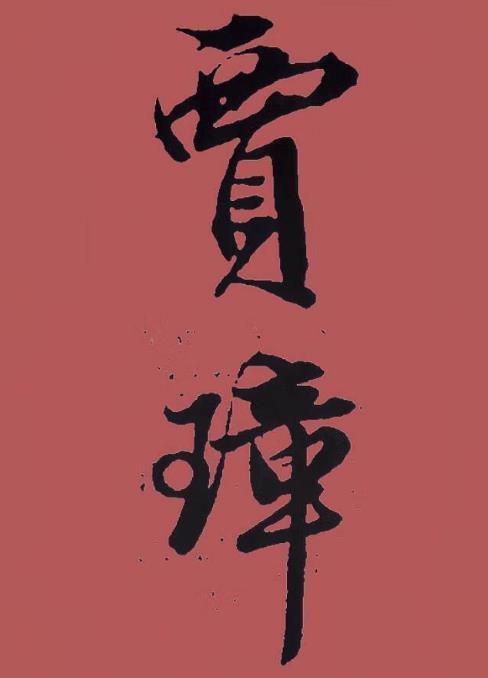 红楼贾琮是主角