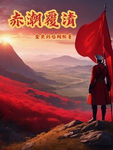 赤潮覆清作者