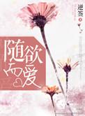 随遇而安在感情上指的是什么意思