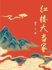 红楼大当家txt谭子