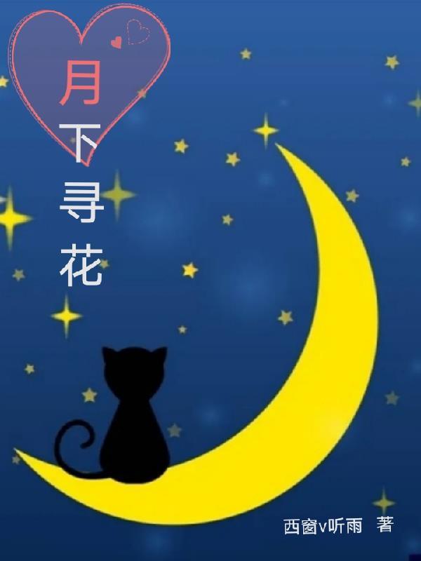 月下寻梅 叶软